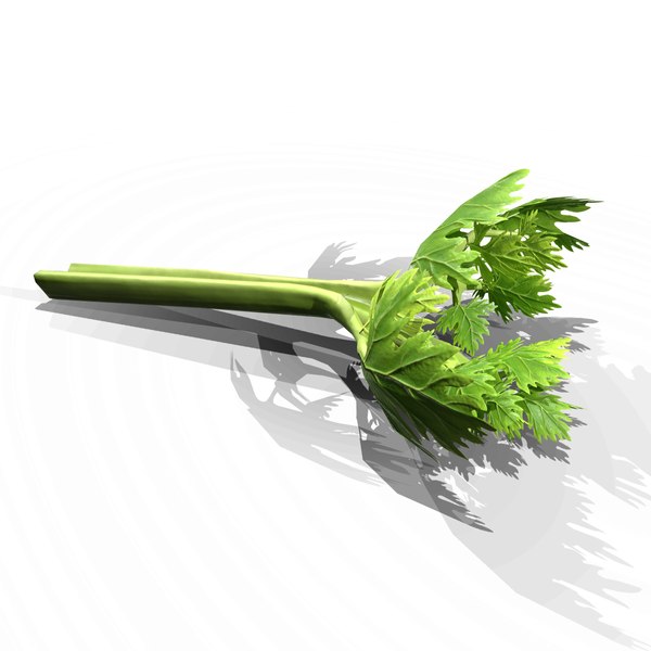 Apio x 1 unidad "rama "